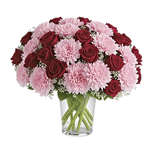 Pink Pastel Roses