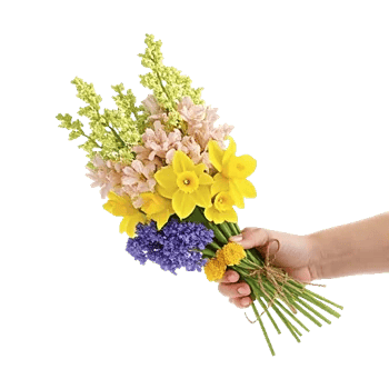 Blossom Harmony Display