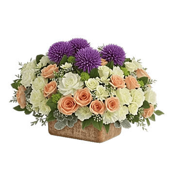 Petal Radiance Bliss