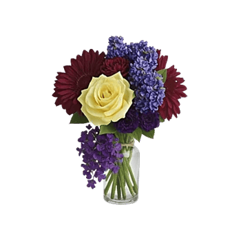 Delicate Petal Cascade