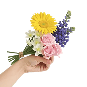 Enchanting Daisy Garden