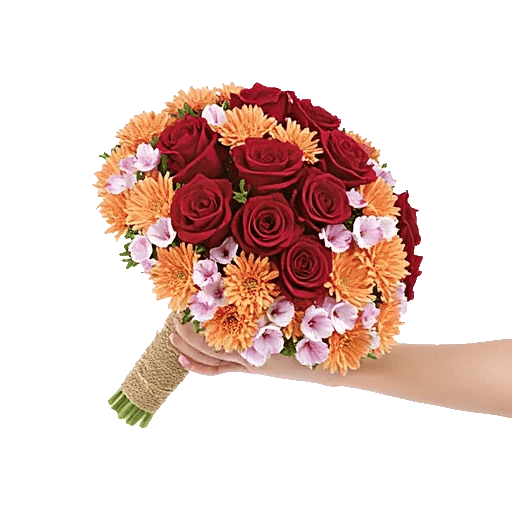 Crimson Rose Elegance