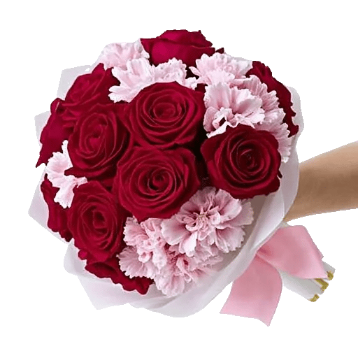 Crimson Rose Elegance