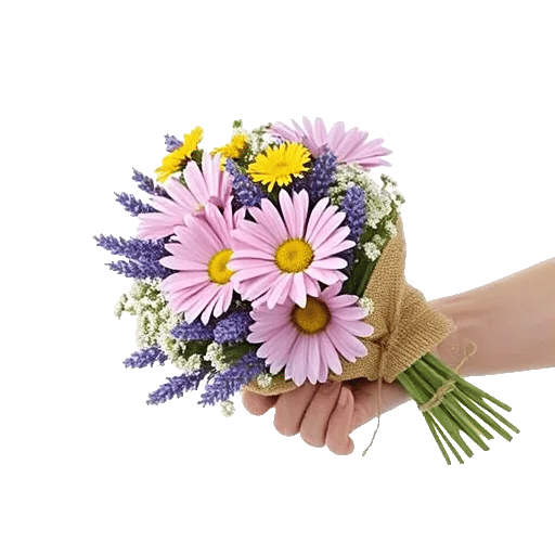 Daisy Meadow Spread