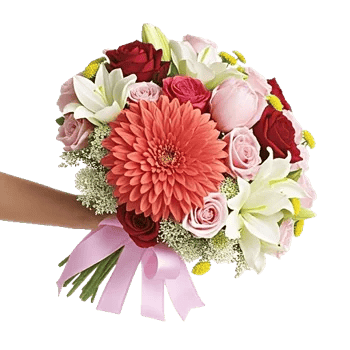 Coral Blossom Harmony