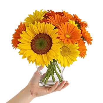 Amber Sunflower Glow