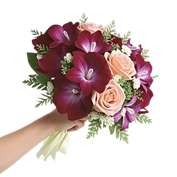 Orchid Bloom Cascade