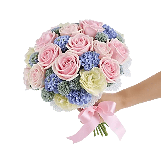 Pastel Pink Roses