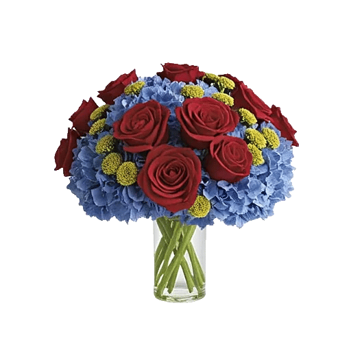 Radiant Rose Symphony