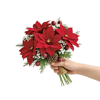 Crimson Rose Elegance