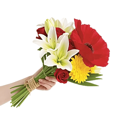 Blossom Harmony Display