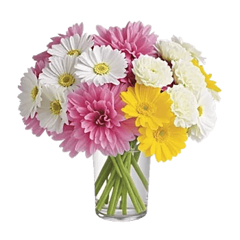 Petal Radiance Bliss