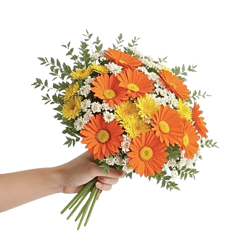 Petal Harmony Bliss