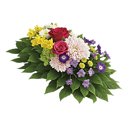 Delicate Petal Cascade