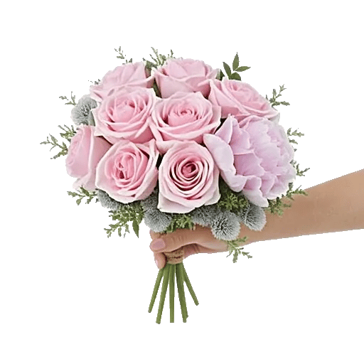 Pastel Pink Roses