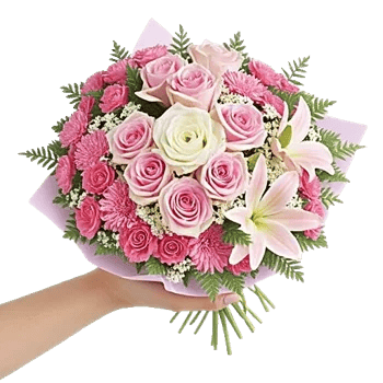 Pastel Pink Roses