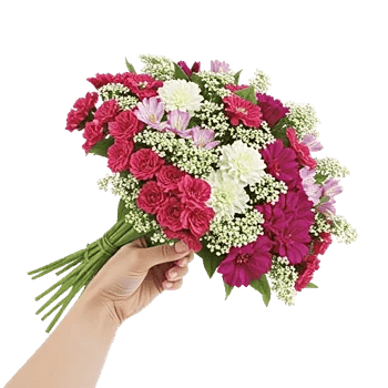Petal Grace Harmony