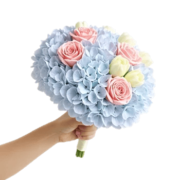 Serene Petal Harmony