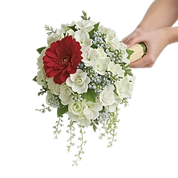 Delicate Petal Cascade