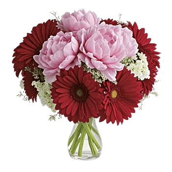 Petal Radiance Bliss