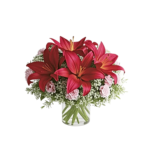 Crimson Lily Glow