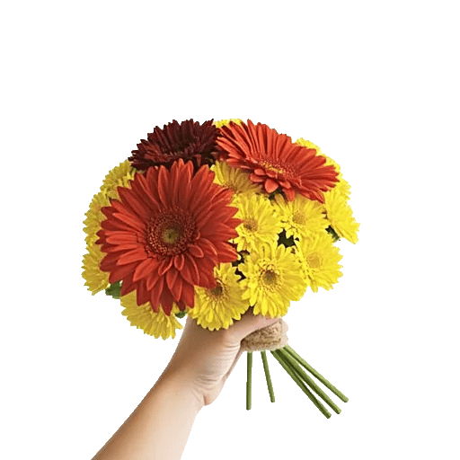 Radiant Bloom Cascade