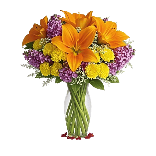 Petal Radiance Bliss