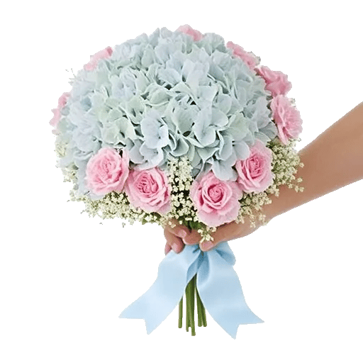 Serene Petal Harmony