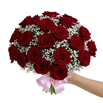 Crimson Rose Elegance