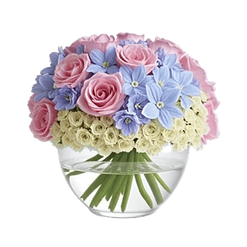 Petal Radiance Bliss