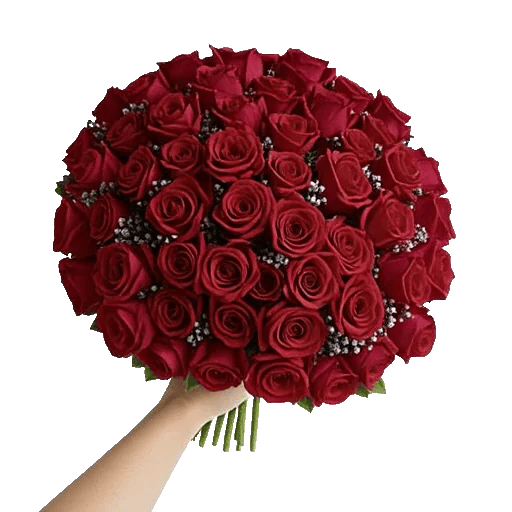 Crimson Rose Elegance