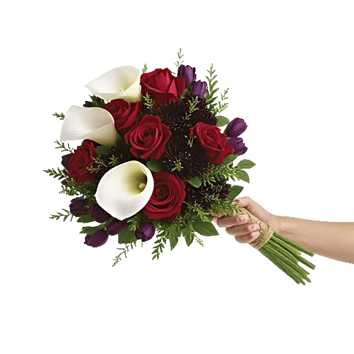 Elegant Calla Lilies