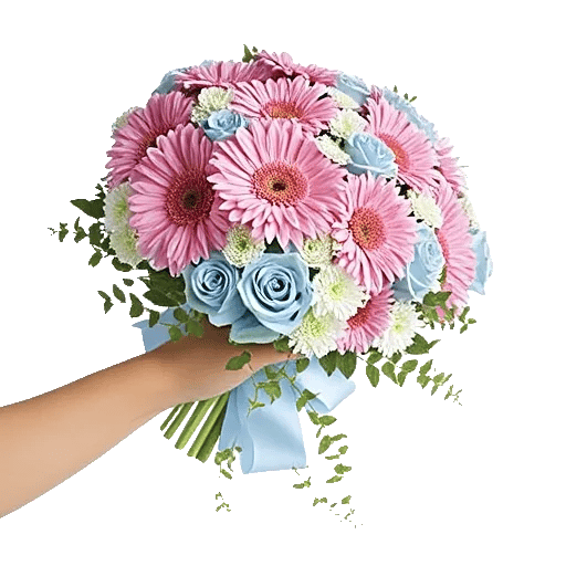 Blossom Petal Serenity