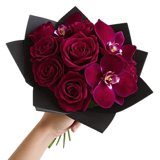 Crimson Rose Elegance