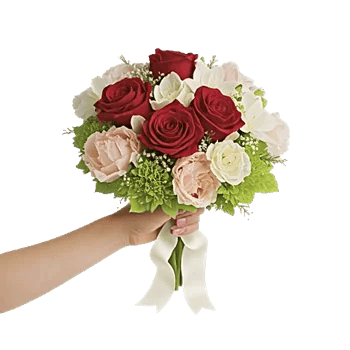 Crimson Rose Elegance