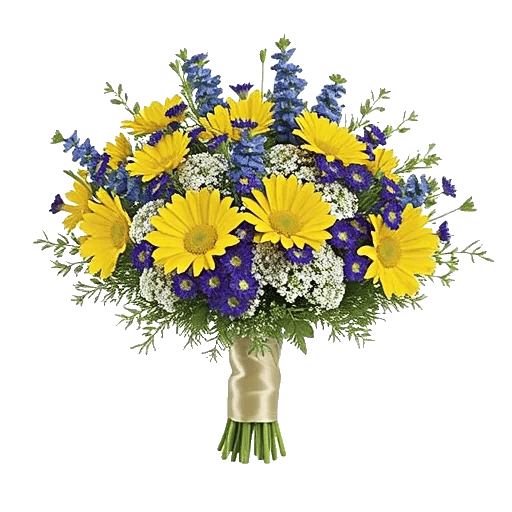 Daisy Meadow Spread