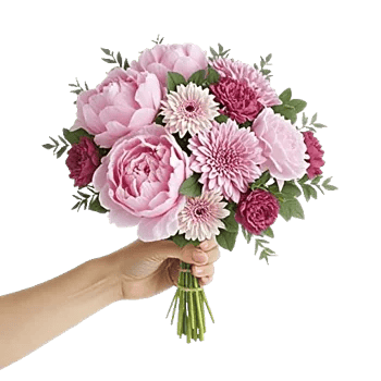 Peony Petal Harmony