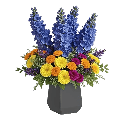 Serenity Blossom Grace