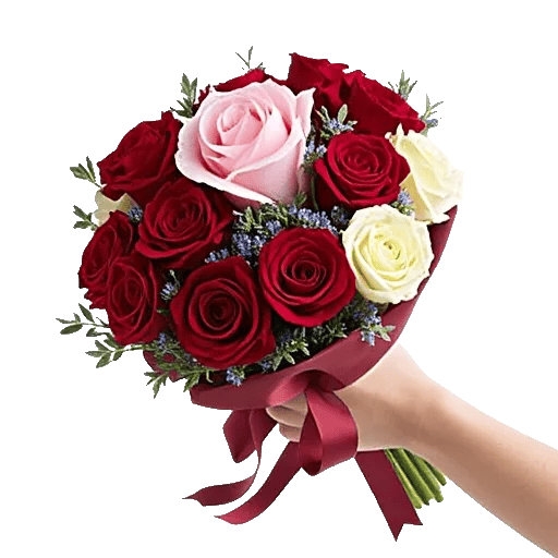 Blushing Rose Symphony