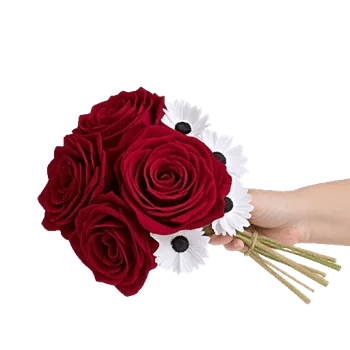 Crimson Rose Elegance