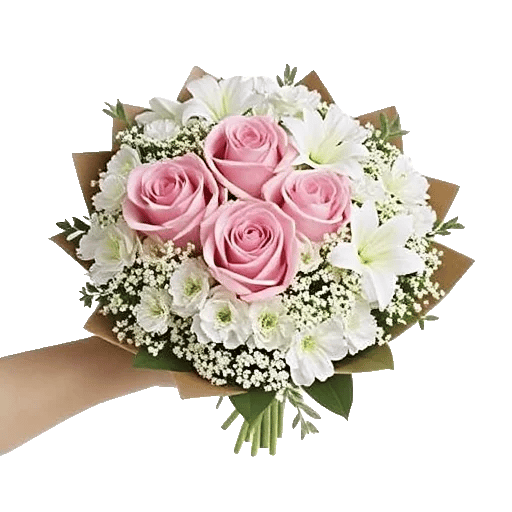 Blushing Rose Symphony