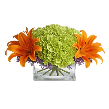 Emerald Bloom Cascade