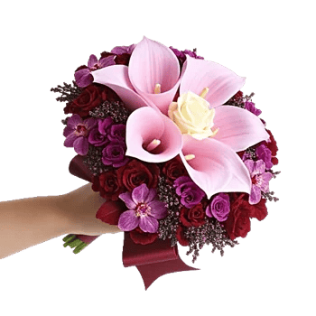 Elegant Calla Lilies