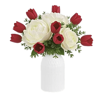 Velvet Tulip Display