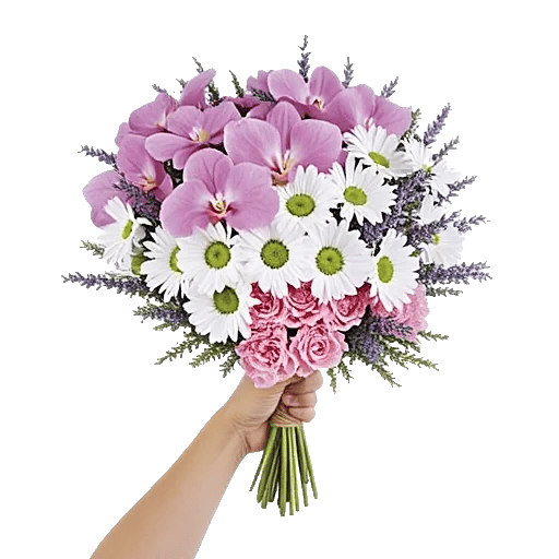 Orchid Bloom Cascade