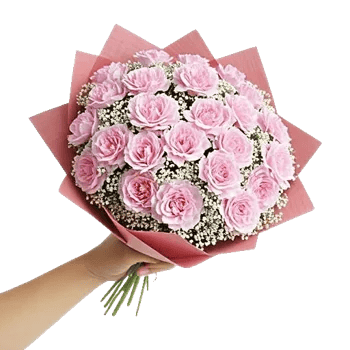 Pastel Pink Roses