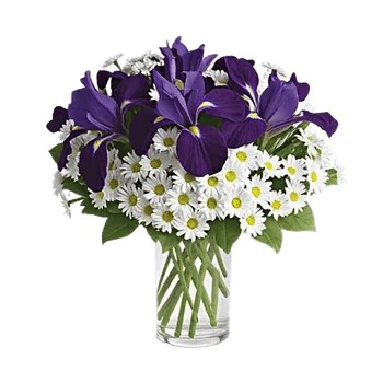 Ivory Blossom Radiance