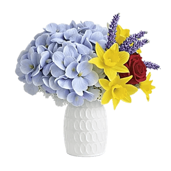 Serene Petal Harmony