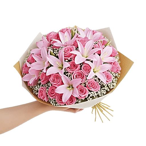 Blushing Rose Symphony