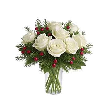 Radiant Rose Symphony